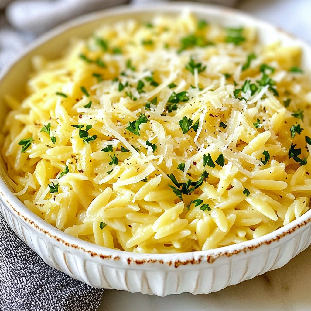 Creamy Garlic Parmesan Orzo Delightful Dinner Dish